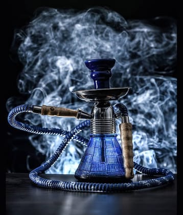 Fashion Bizz 8 inch Glass Hookah 8 inch Glass Hookah