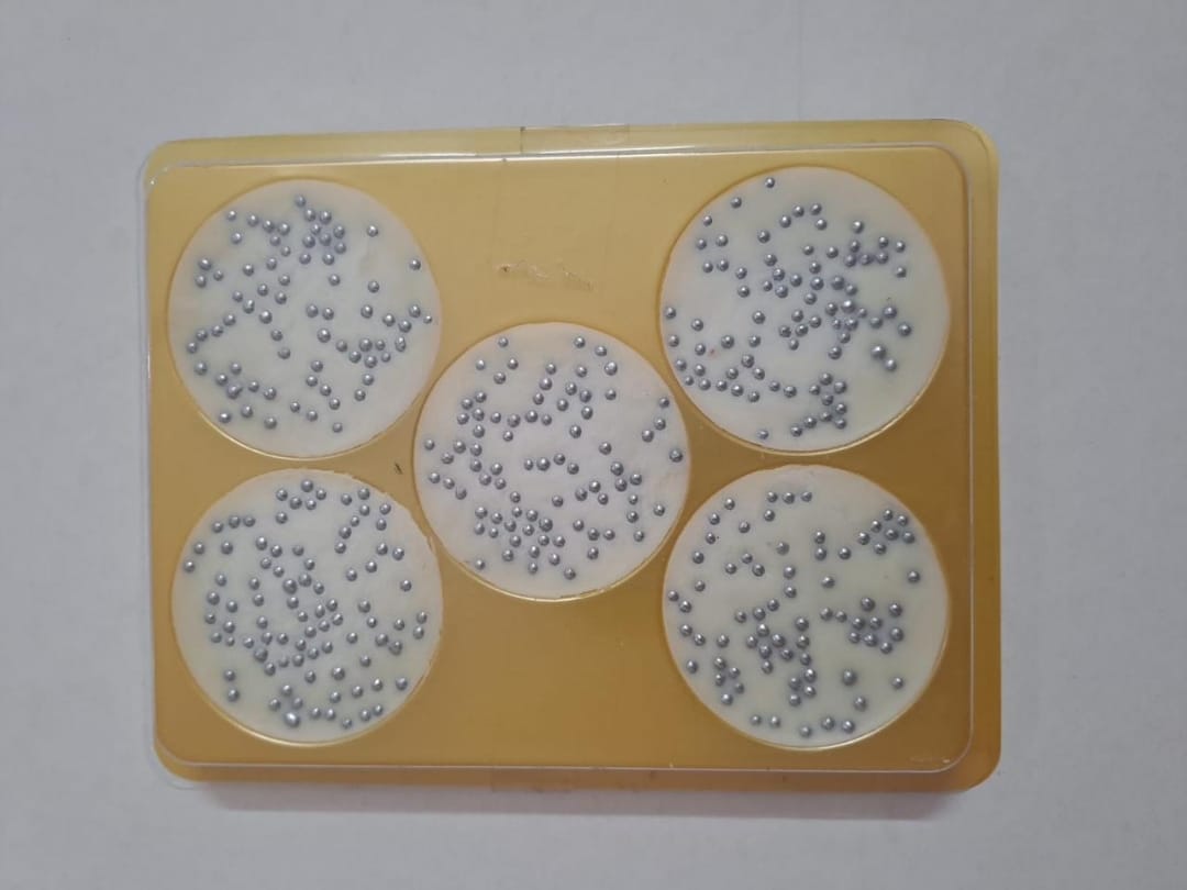 Rajbhog Chocolate 140 grams