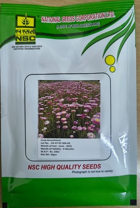 NSC Acroclinium Flower Seed - 10gm