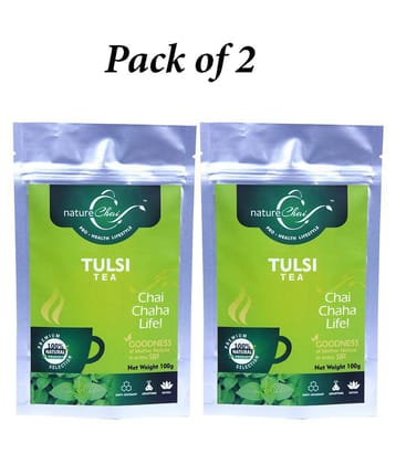 nature Chai Green Tea Loose Leaf 100 gm Pack of 2