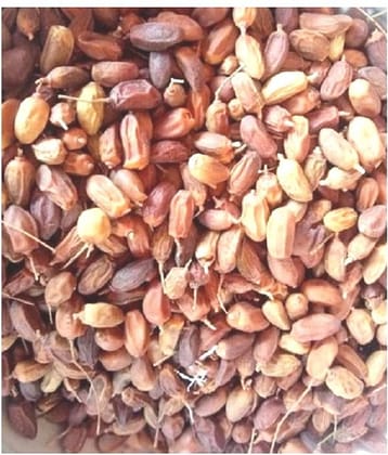 VINARGHYA Neem phal / Azadirachta Indica dried fruit / Nimboli Dried Herb 400 gm