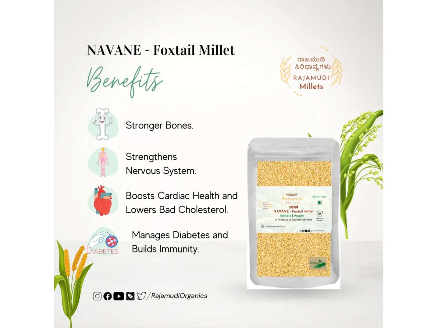 NAVANE - Foxtail Millet  - 500 Gram