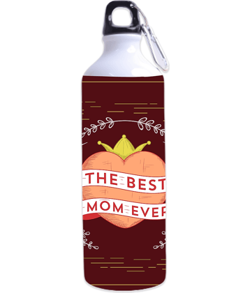 Royals of Sawaigarh - Multicolor Aluminium Sippers for Mothers Day