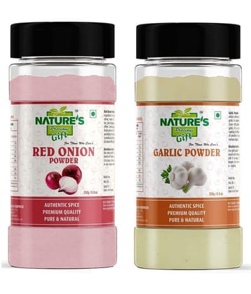 Natures Gift Garlic Powder & Red Onion Powder - 250 GM for Cooking & Baking Powder 250 gm Pack of 2