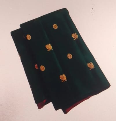 Elegant Traditional Indian Saree