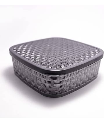 NCMART - Multicolor Polyproplene Food Container ( Pack of 1 )