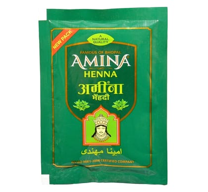 Amina Henna Mehndi, Green, 550 g (Pack of 20)