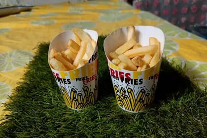Classic Fries