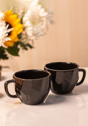 Raven Mugs-Set of 2