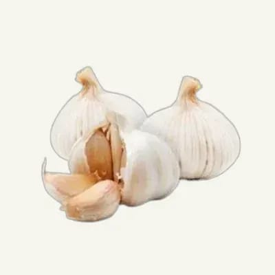 Garlic (Lehsun)