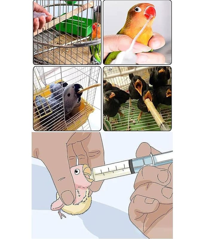 ...