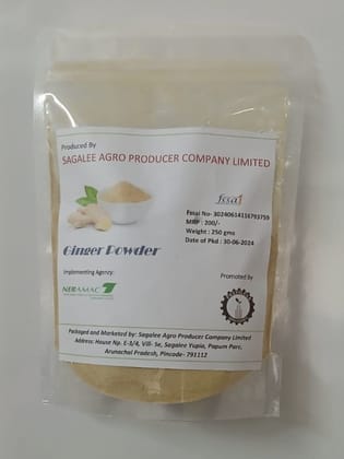 Ginger powder - 250 gm