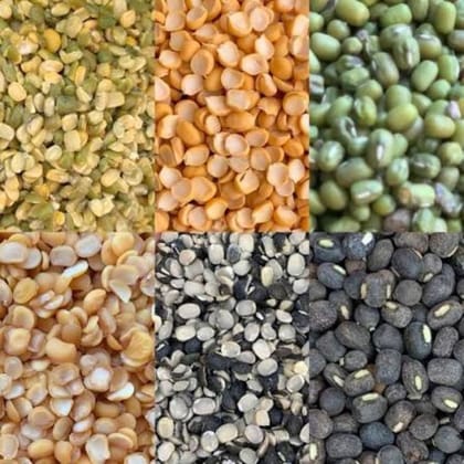 Premium Assorted Dals and Pulses Collection - 50 kg - One bulk bag of assorted pulses