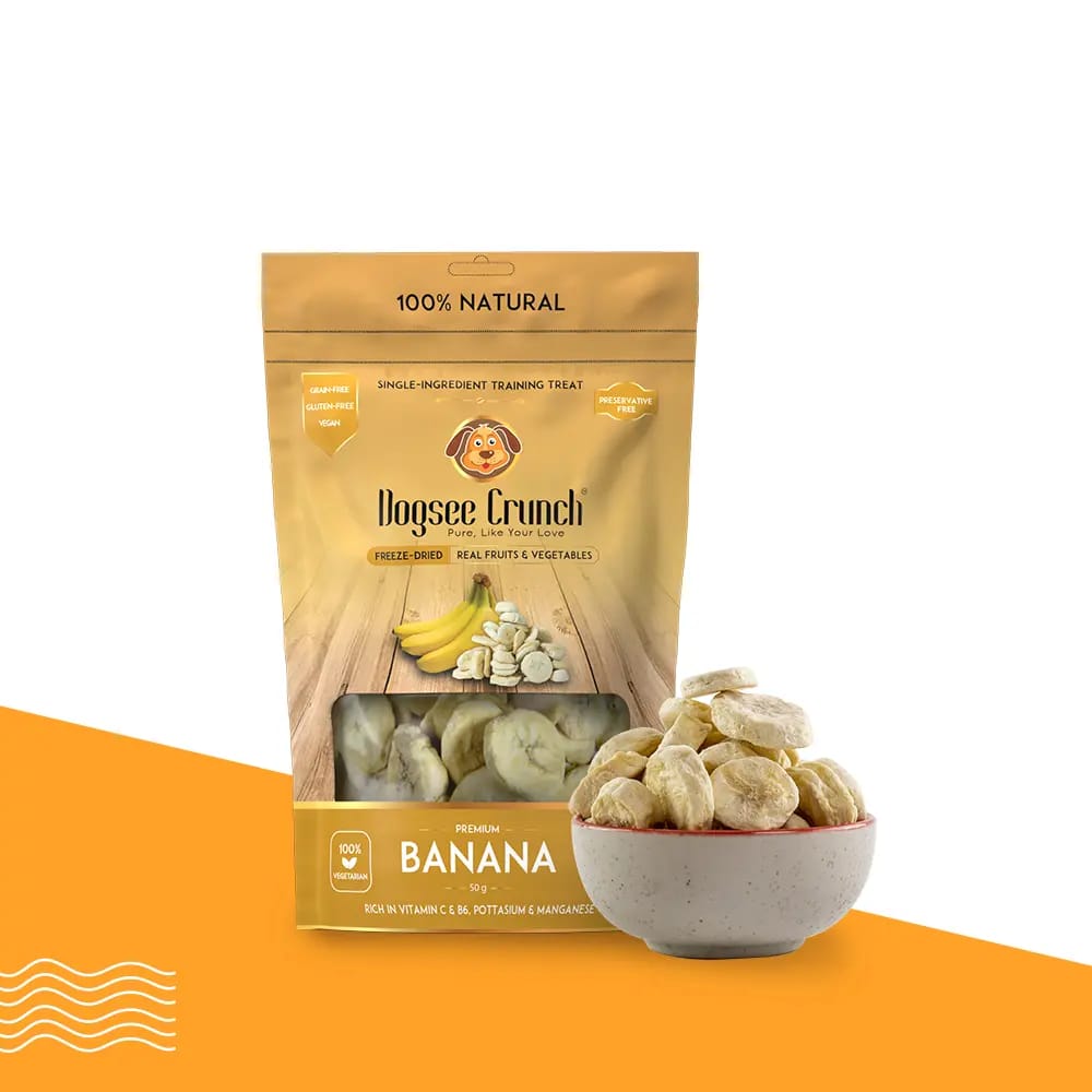 Dogsee Crunch Banana Pack of 3