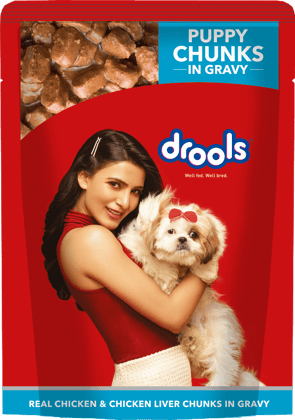 Drools Puppy Wet Dog Food, Real Chicken and Chicken Liver Chunks in Gravy, 30 Pouches (30 x 150g)