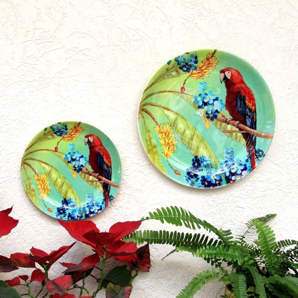 Macaw Wall Plate-Small: 19 Cm