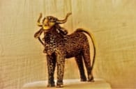 SPIRRAL BULL