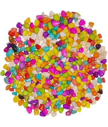 Somil Multicolor Pabbles/Stone For Garden, Plants, Aquarium & Home Decor Wt. 450g