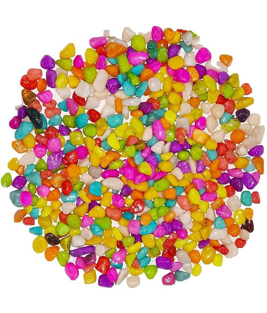 Somil Multicolor Pabbles/Stone For Garden, Plants, Aquarium & Home Decor Wt. 450g