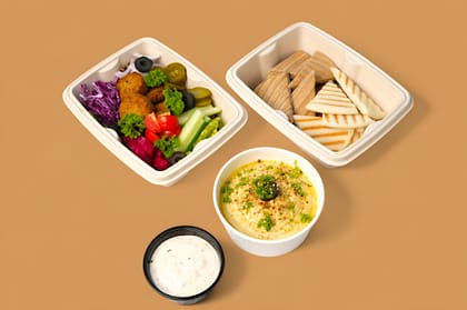 Healthy Falafel Hummus Meal