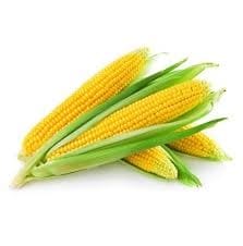 Baby corn - 1 Pcs