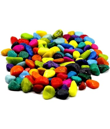 Somil Multicolor Pabbles/Stone For Garden, Plants, Aquarium & Home Decor Wt. 950g