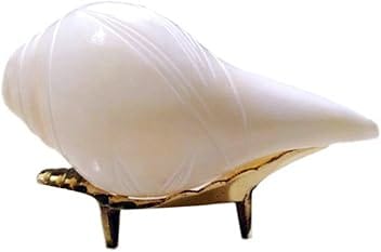 Real Seed Blowing Shankh with Pure Brass Shankh Stand