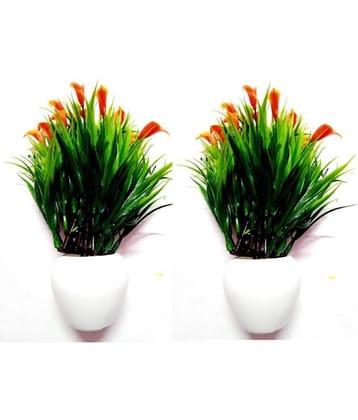 Green plant indoor Wild Flower Orange Flowers With Pot - Pack of 2