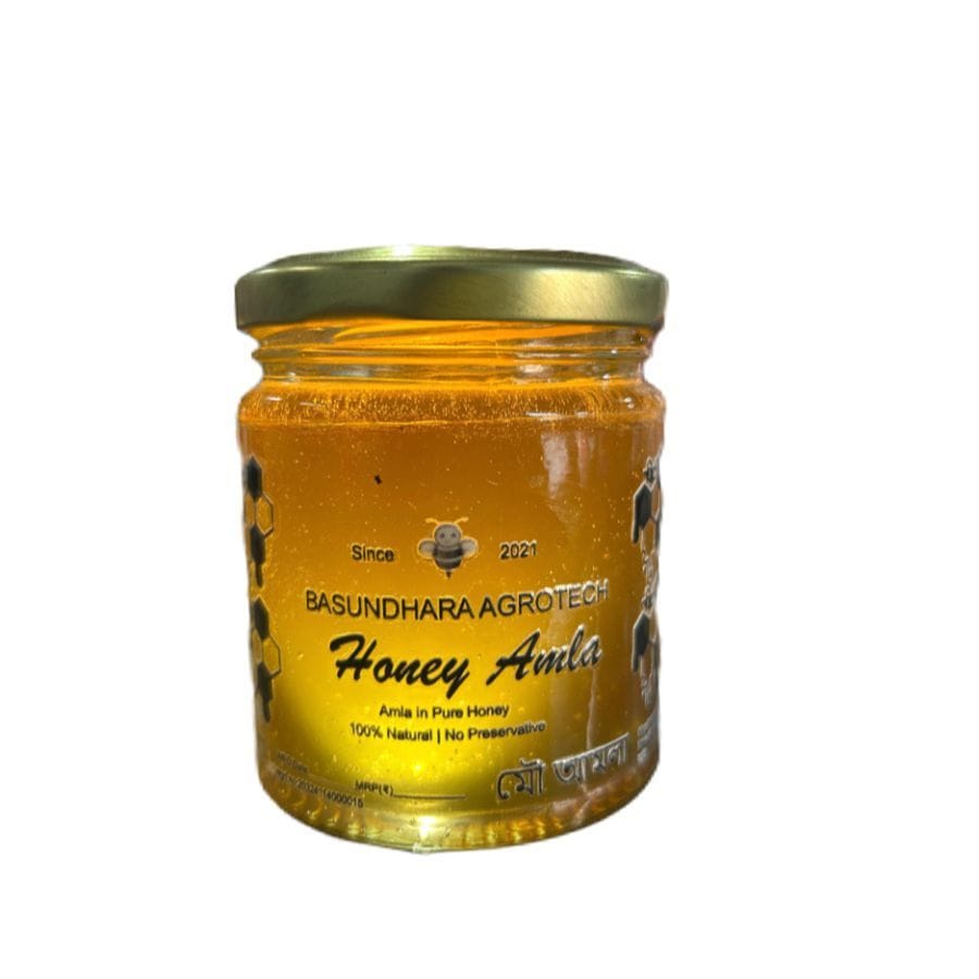 Basundhara Agrotech Honey Amla - 200 mL - One jar of Amla Honey