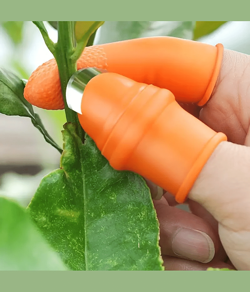 purple dust Orange Stainless Steel Utility Knife Blade Length 1 cm ( Pack of 1 )