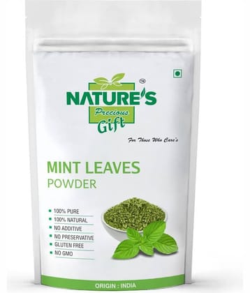 Nature's Gift Mint Leaves Powder 500 gm