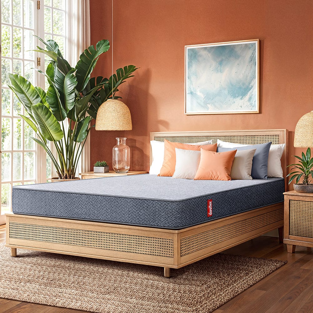 LiveIn  Memory Foam Mattress-Single / 72 X 30 (1.83 m x 76 cm) / 5 (12.7 cm)