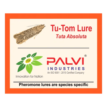 Tuta Absoluta  by Palvi industries