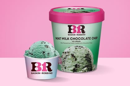 Mint Milk Chocolate Chips Ice cream (Factory sealed 450 ml)