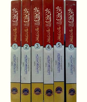 Masnavi Maulana Rum (6 vol set)(8285254860)