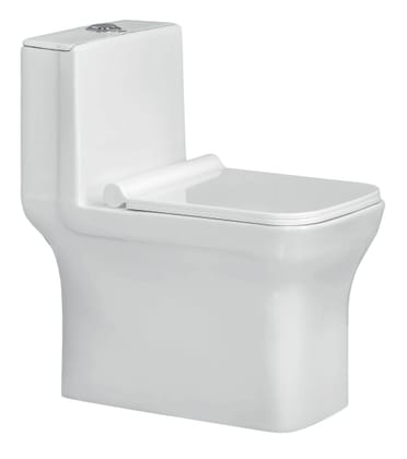 JACKSON EWC with Soft Close Seat Cover & Flushing Kit