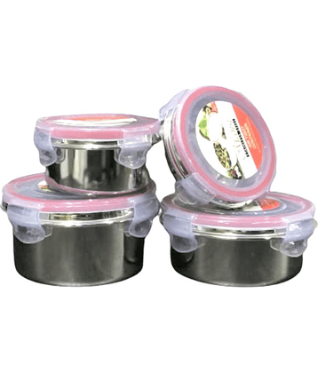 Dynore Steel Silver Food Container ( Set of 4 )