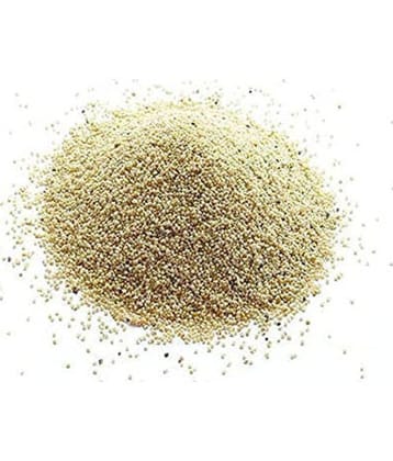 MYGODGIFT Poppy Seed Gold / Khus Khus/White Poppy Seeds / Poppy Seeds for Eating 100 gm