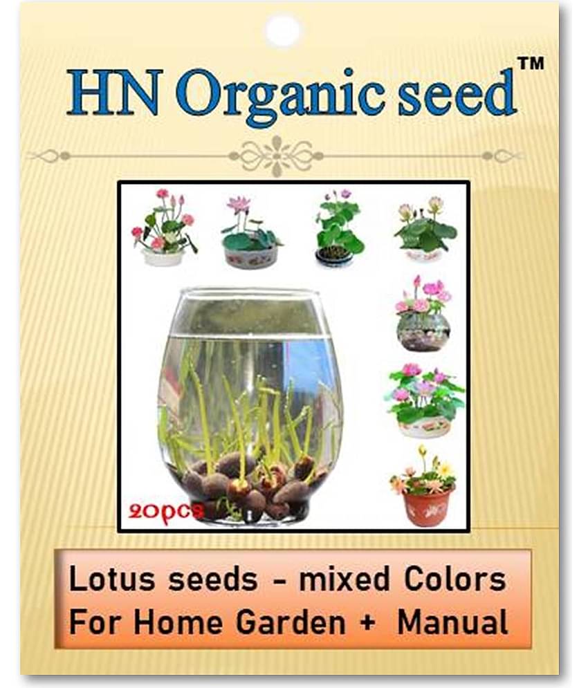 homeagro - Flower Seeds ( Lotus seeds -mixed colours 20 seeds )