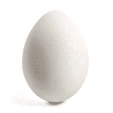 Egg Egg