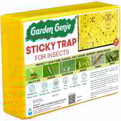 Garden Genie Yellow Sticky Trap for Insects 10 Traps (150x200mm) | Double Sided Glue Trap/Fly Trap/Insect Catcher/Sticky Pads for Flying Insects, Thrips, White Flies Etc | Suitable for Gardens & Farms