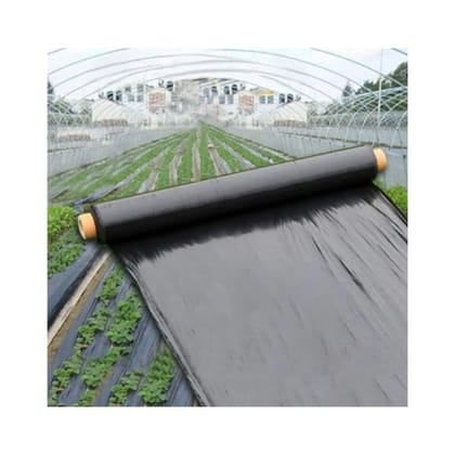 GROW 3-5*400 SILVER BLACK