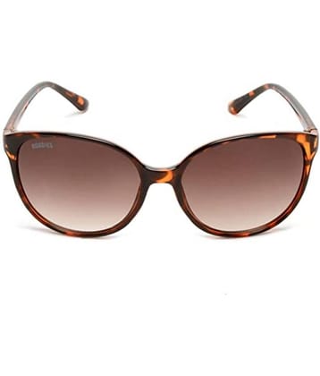 Roadies - Brown Oval Sunglasses ( Pack of 1 )