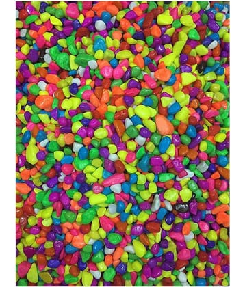 Afast Multicolor Pabbles/Stone For Garden, Plants, Aquarium & Home Decor Wt. 450g