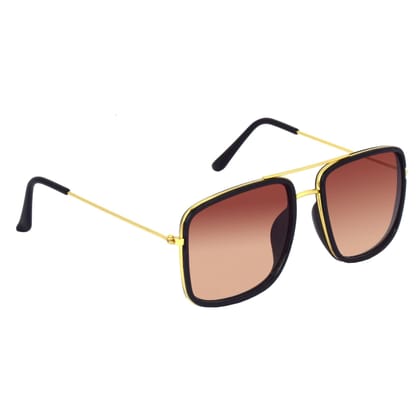 Dervin Square Sunglasses for Men (Brown)