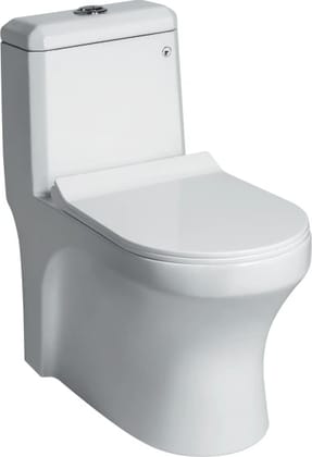 DAVIS EWC with Soft Close Seat Cover & Flushing Kit