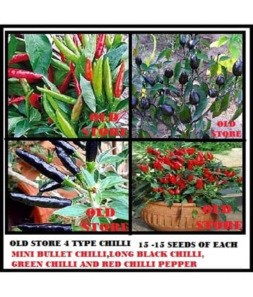 Combo pack of 4 type chilli seeds 15-15 seeds of each 1 (Small bullet black chilli long black chilli red chilli pepper green chilli) for indoor outdoor home gardening use with instruction manual