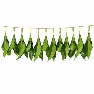 iINTELLIGENCEi Original Mango Leaves Thoranam 3 Feet for Pooja, Housewarming  Home Decoration (1 Pc)