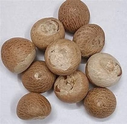 Betel Nut (Supari)  | Premium Quality - 5 Pc