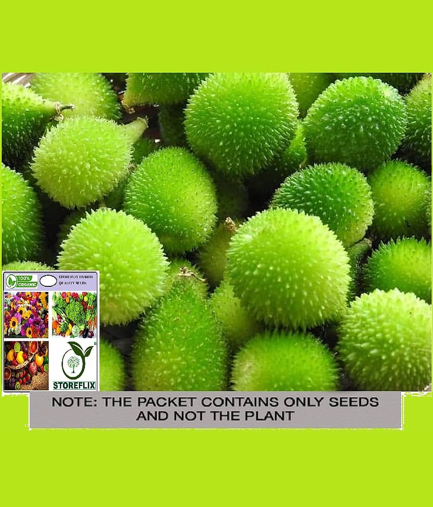 STOREFLIX Kantola Vegetable ( 20 Seeds )